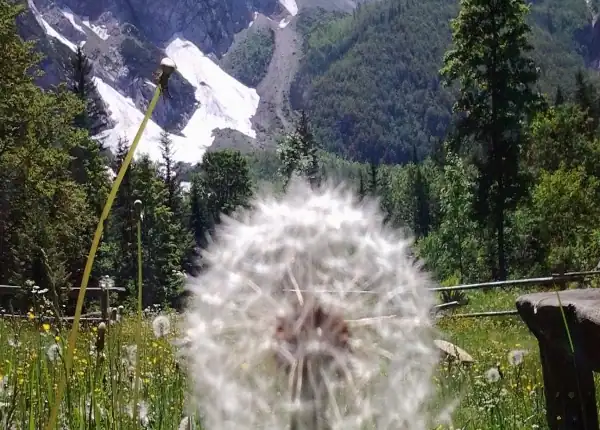 Retraite Slovenië Logar Valley