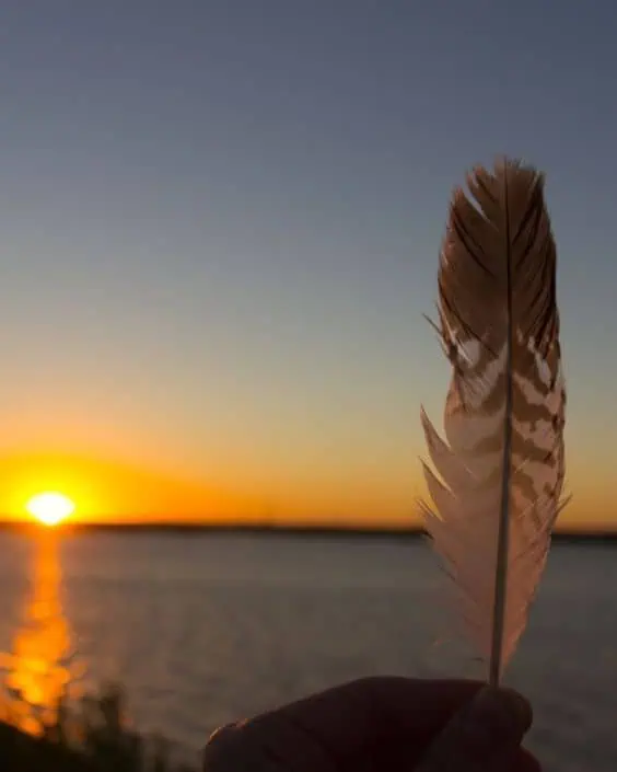 Training Vergroot je Veerkracht