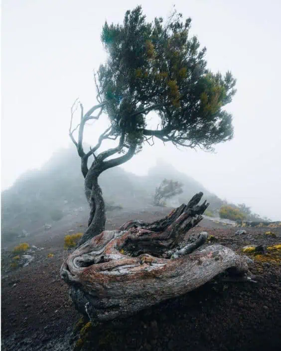 Training Vergroot je Veerkracht